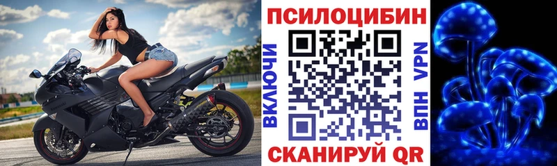 Псилоцибиновые грибы Psilocybe  нарко площадка официальный сайт  Сокол 