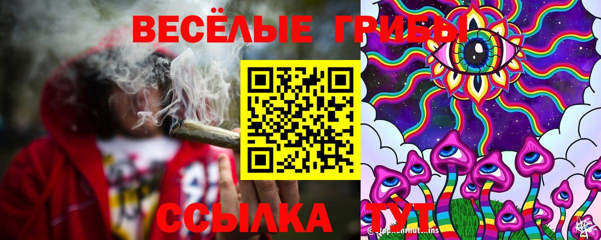 Псилоцибиновые грибы Psilocybe  Вход с VPN  Сокол 
