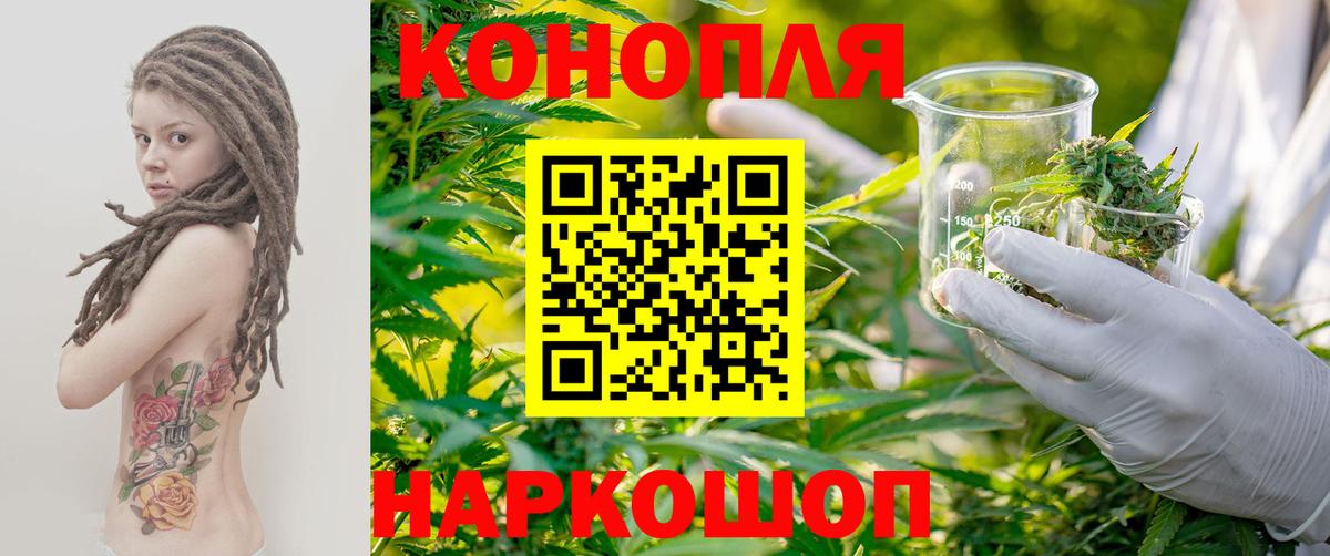 Шишки марихуана сатива Сокол